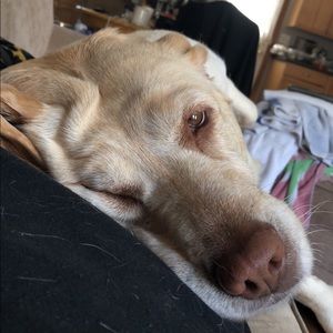 Meet your Posher, Summer